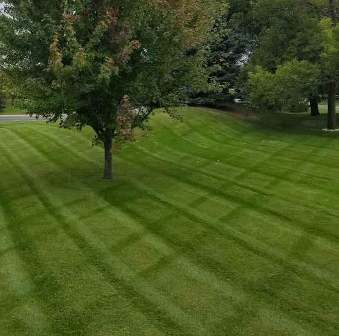 Affordable Lawn Mowing