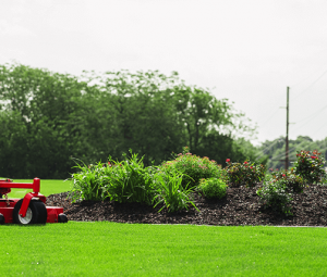 Commercial lawn mowing aurora