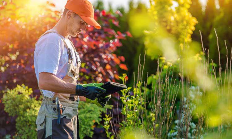 Landscape Company Aurora