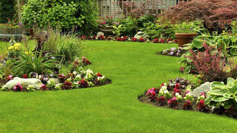 Lawn Care Services Aurora