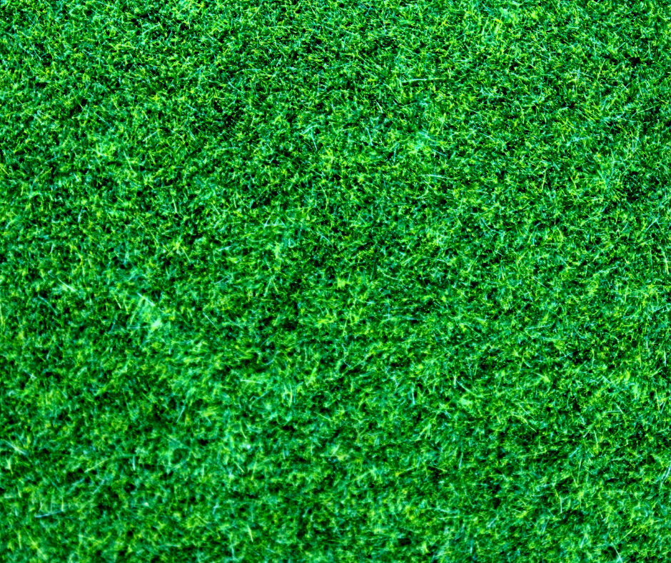 Lawn Mowing Aurora-affordable lawn mowing