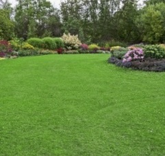 Lawn mowing company aurora