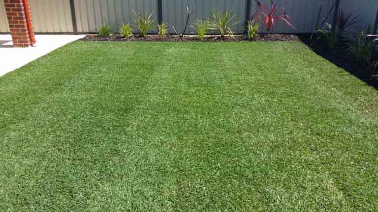 landscaper in aurora